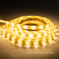 Smart Addressable LED Strip